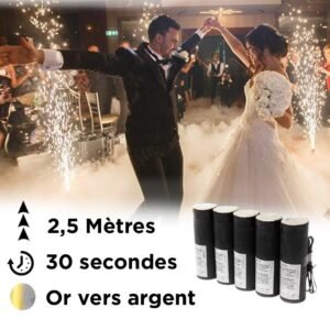Jet de Scène 2,5 Mètres Or Ver Argent